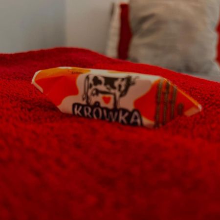 Super 1 Bed Room Condo In Warszawa Center Kültér fotó